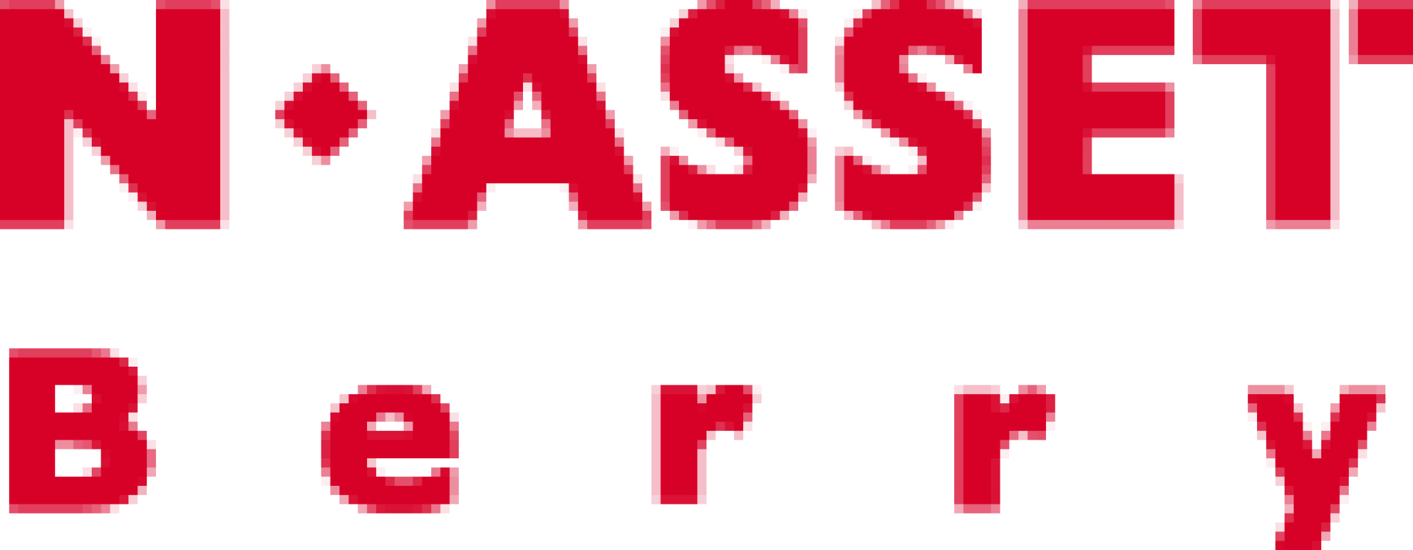 株式会社エヌアセットBerry