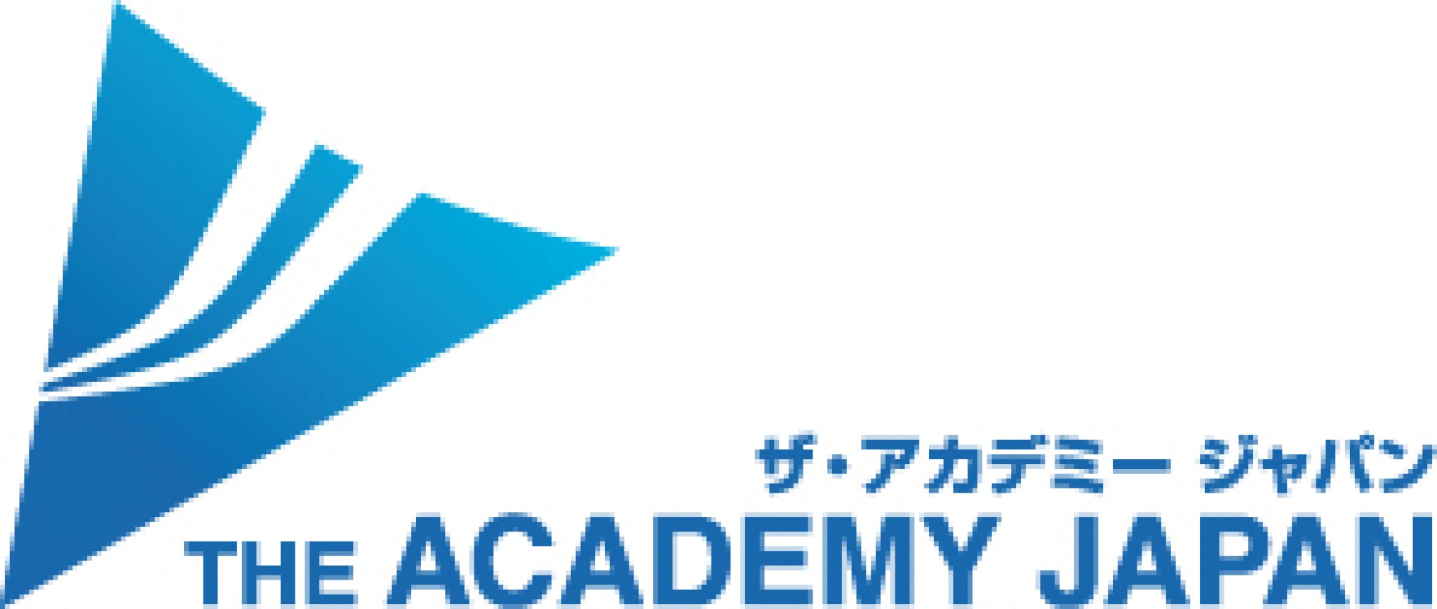 株式会社ザ・アカデミージャパン