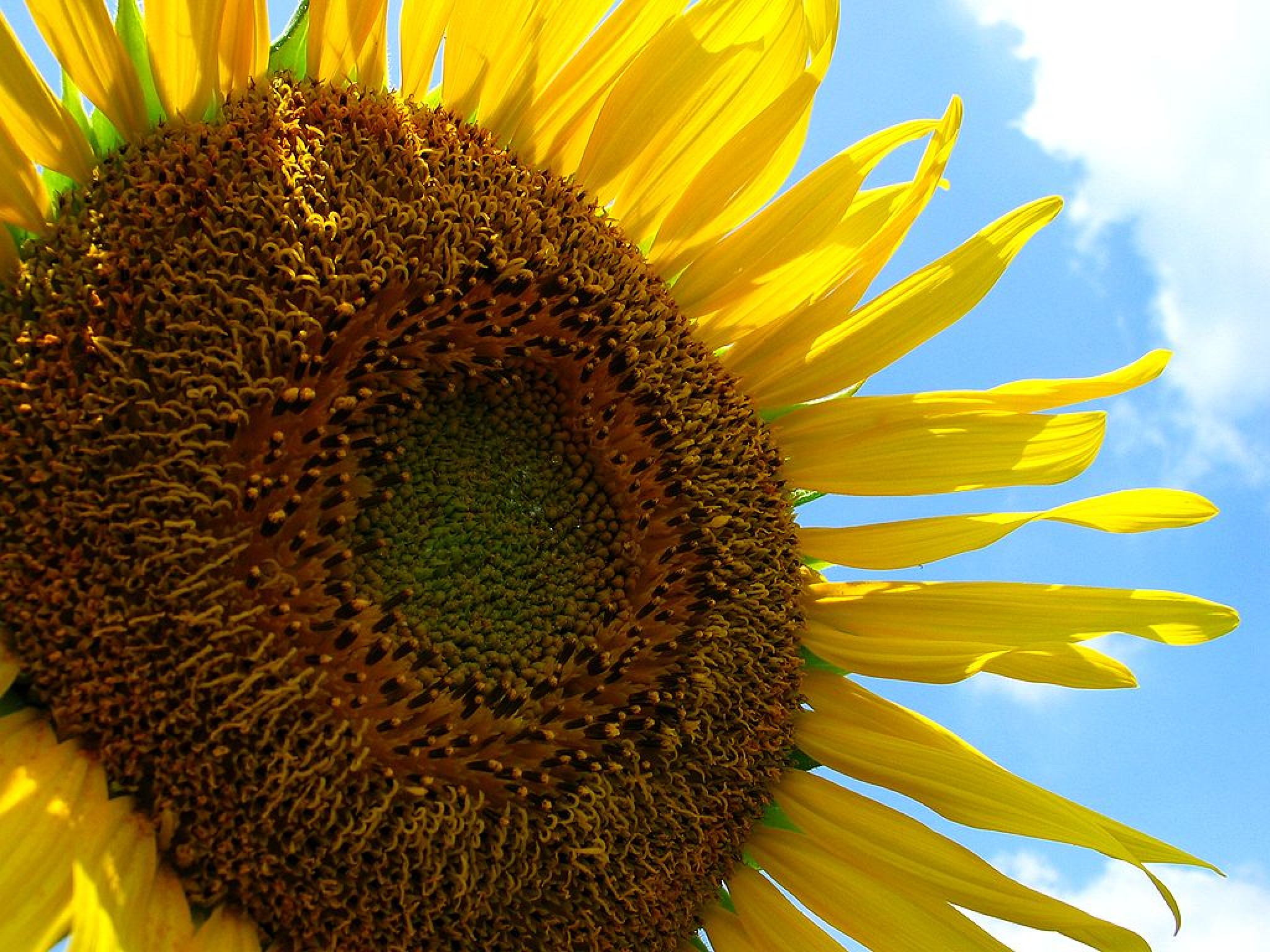 Self-Training Laboratory