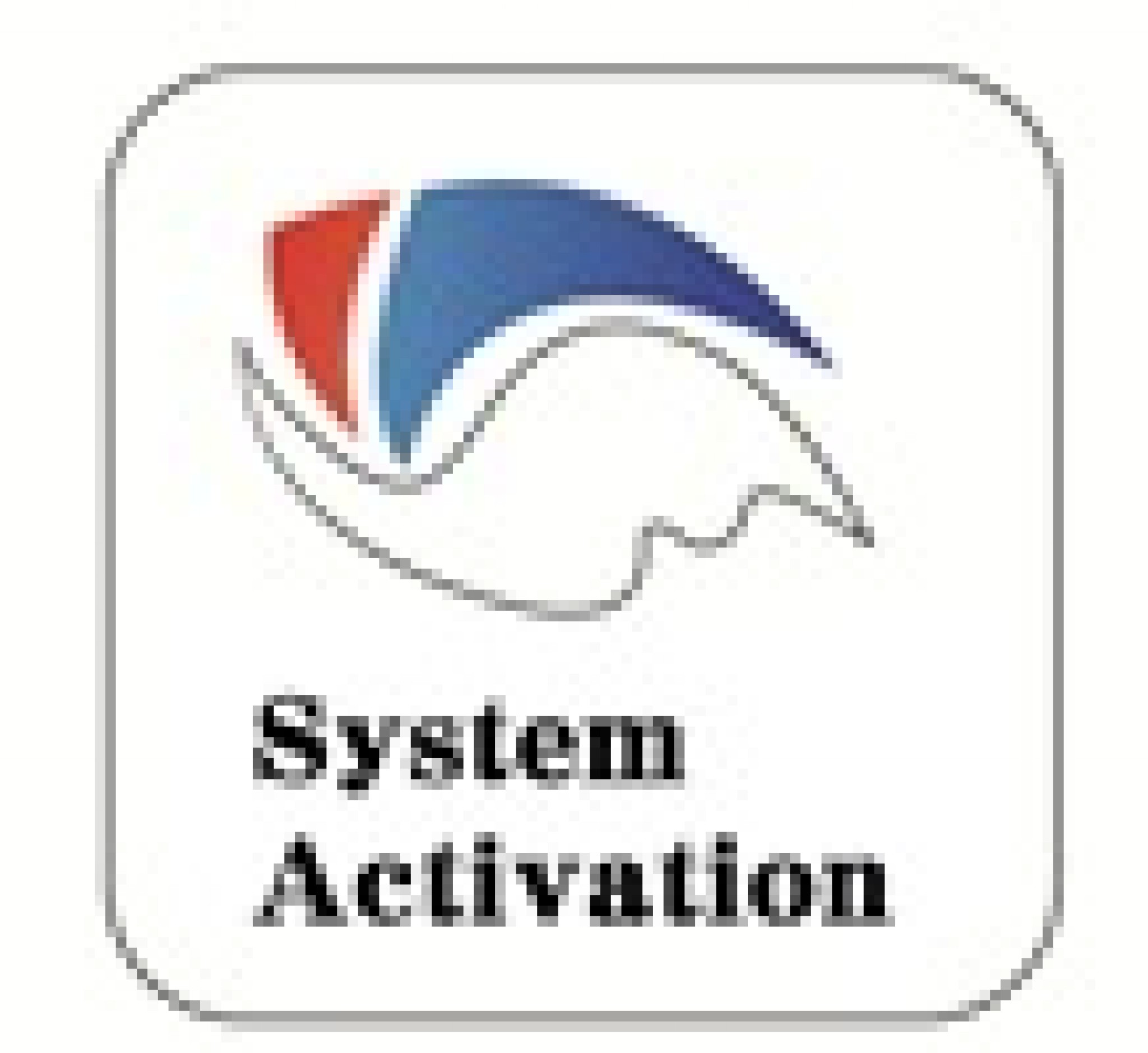 システムアクティベーション株式会社