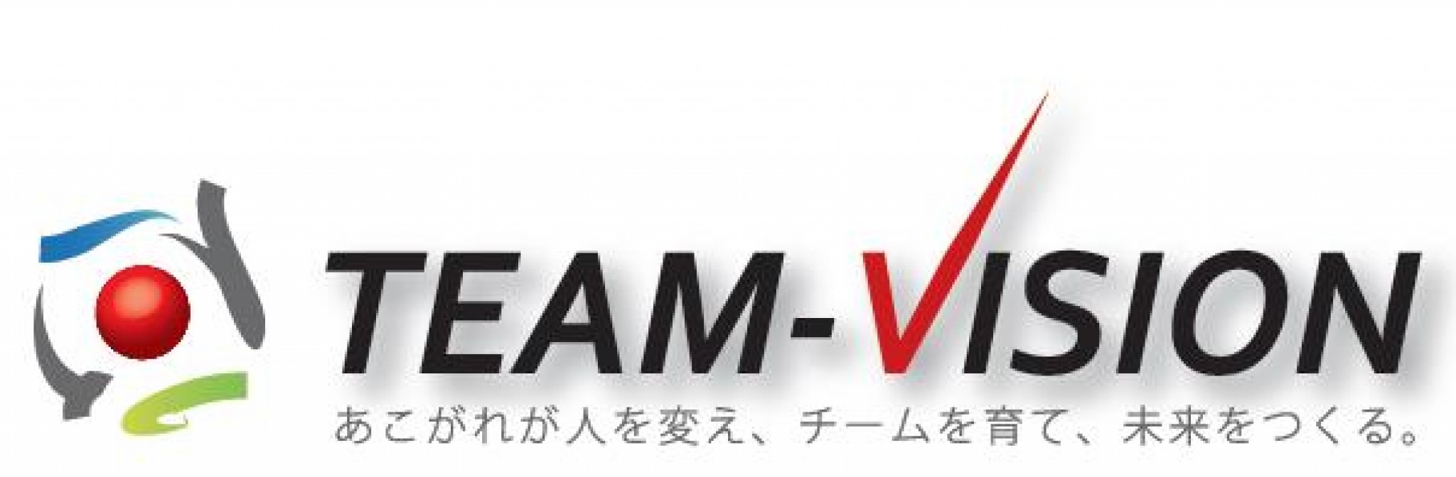 ＴＥＡＭ-ＶＩＳＩＯＮ