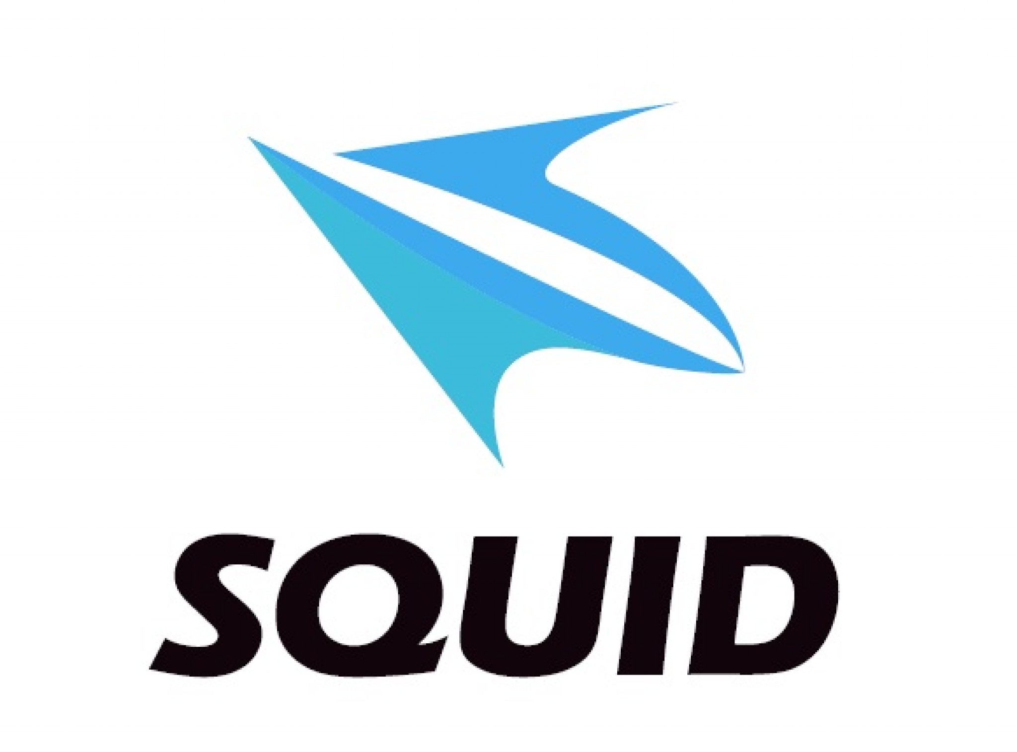 株式会社スクイッド