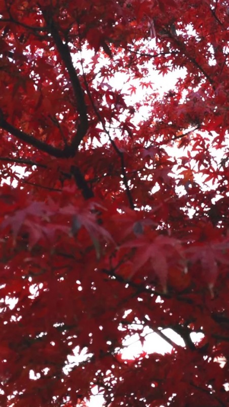 スモールビジネスアシスト