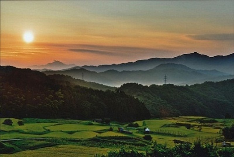 ふるさと振興プロジェクト