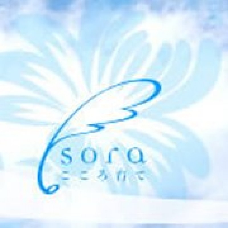 株式会社SORA