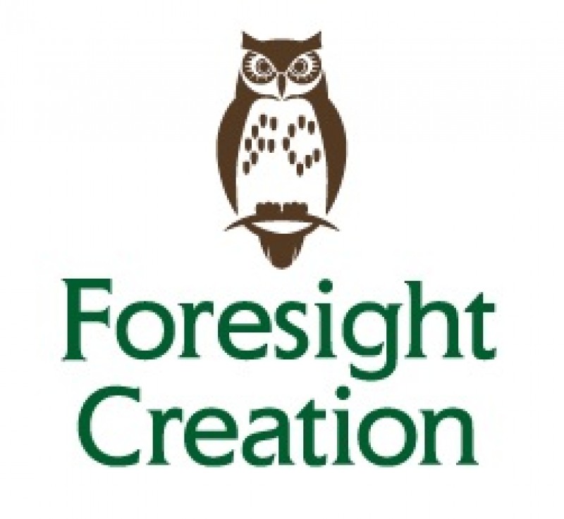 株式会社フォーサイトクリエイション