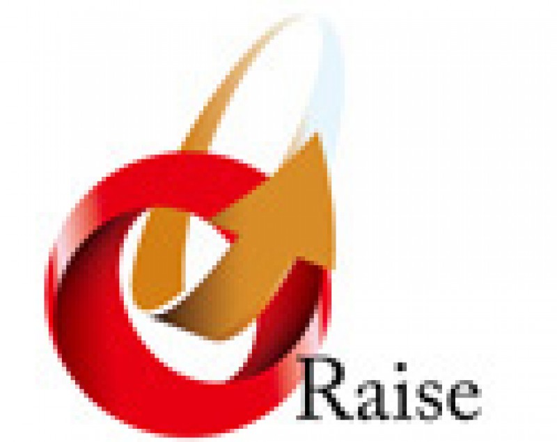 株式会社レイズ