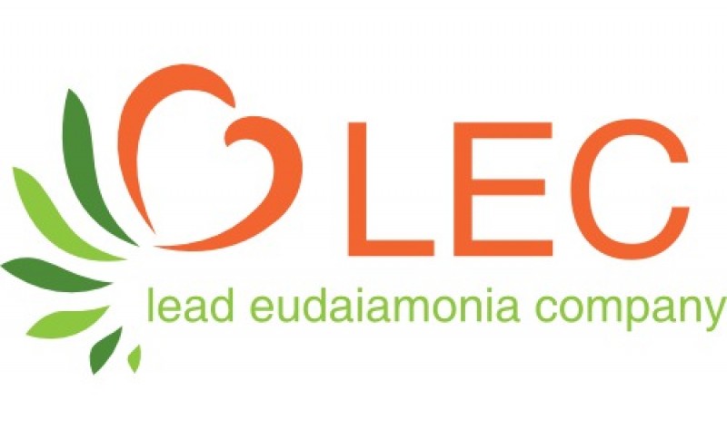 エルイーシー合同会社