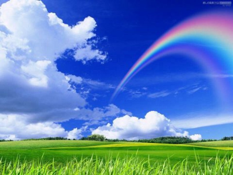 夢くらふと協会