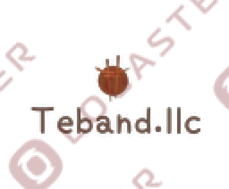 TEBAND LLC