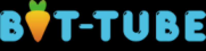 株式会社ビットチューブ