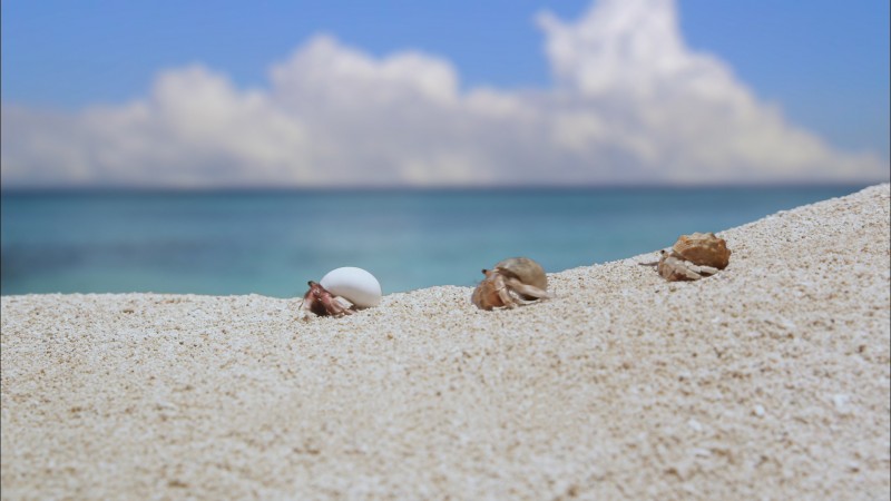 株式会社プレサンスコーポレーション