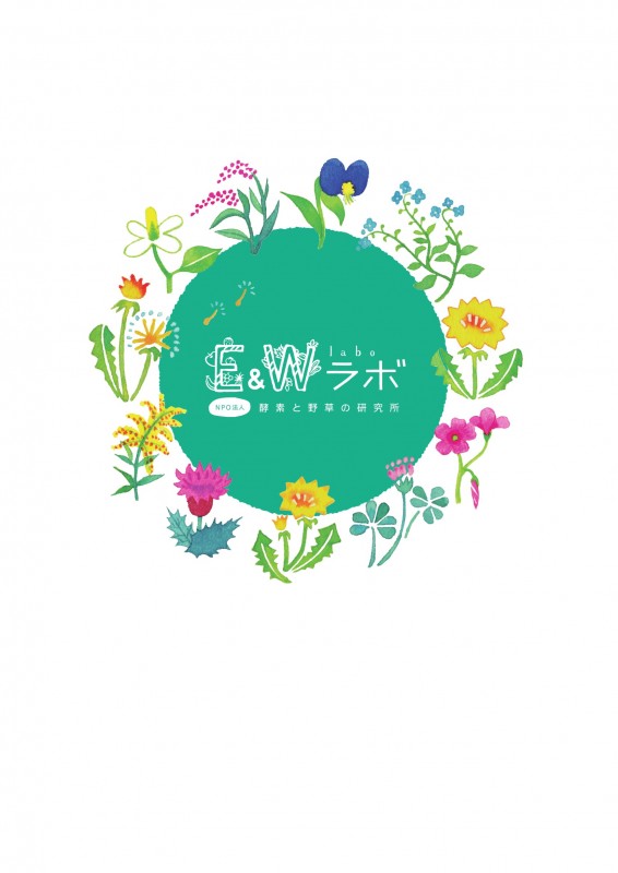 NPO法人 E&Wラボ野草と酵素研究所