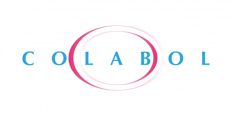 コラボル・ジャパン合同会社