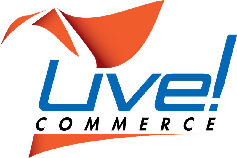 株式会社デジタルスタジオ