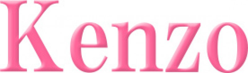 有限会社ケンゾー