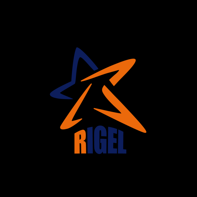 RIGEL合同会社