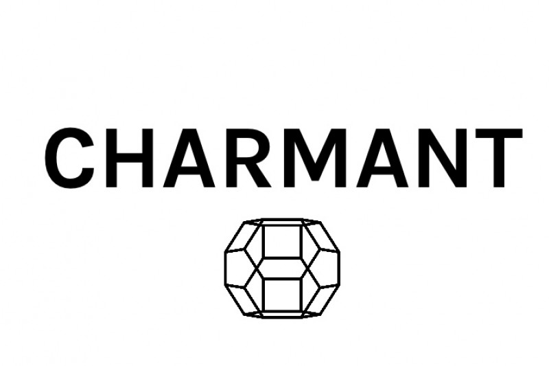 合同会社CHATMANT