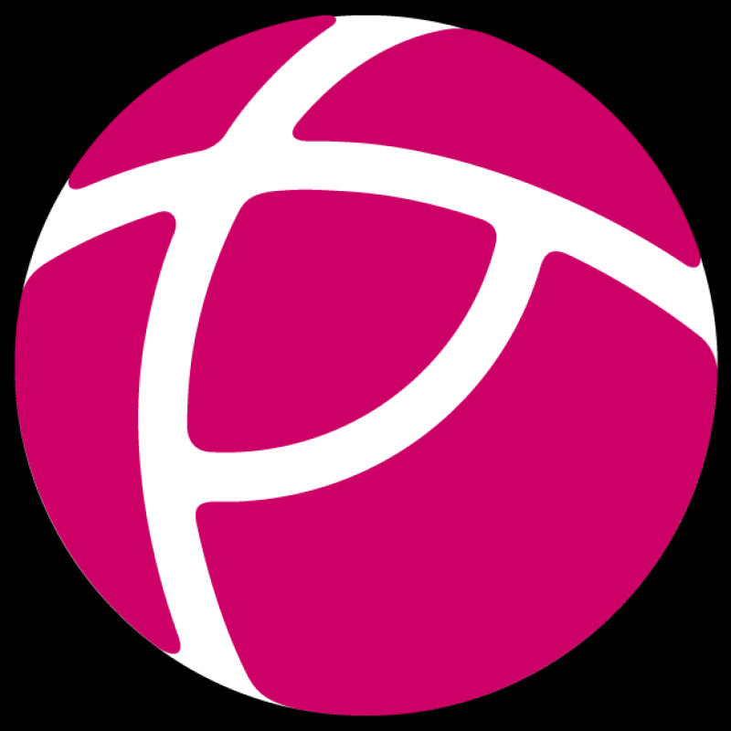 株式会社プレシャスパートナーズ