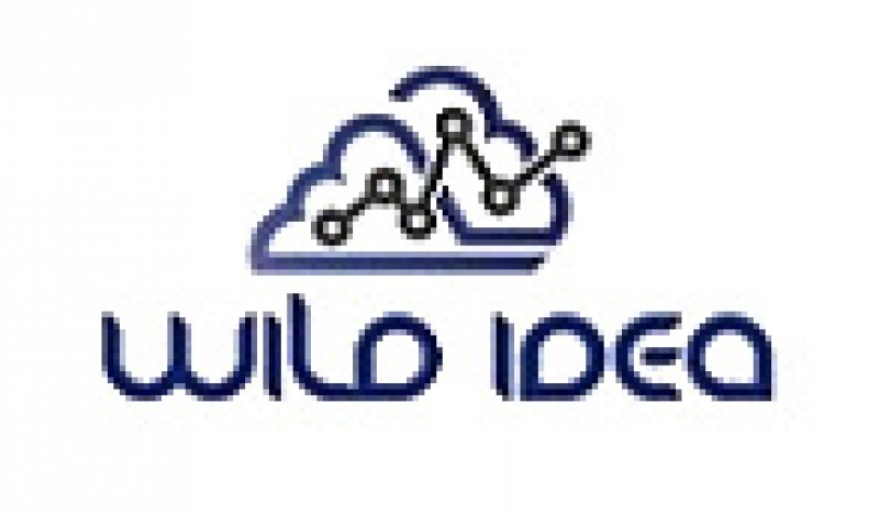 株式会社 wild idea