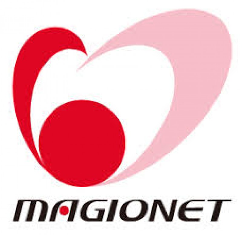 株式会社マジオネット