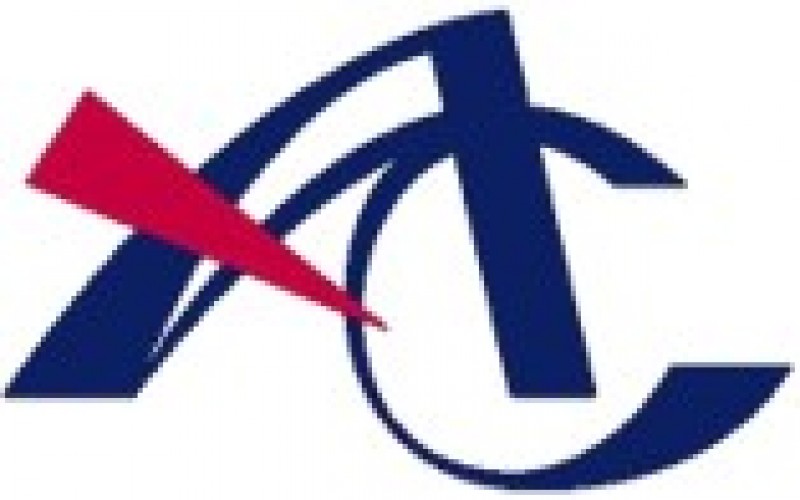 有限会社アクチャーコンサルティング