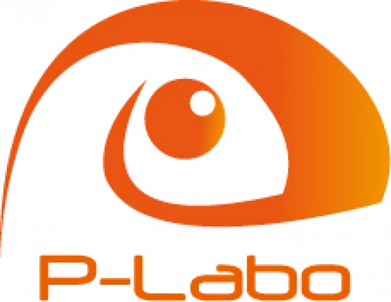 株式会社パラダイム・ラボ