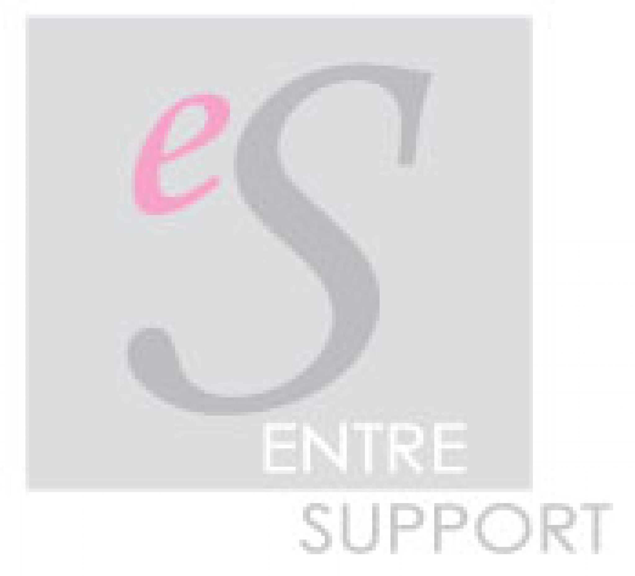 株式会社アントレサポート