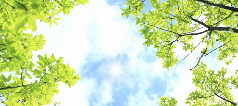 ストレスフリー職場の創り方～３０年間　延べ1000人以上の部下で精神疾患０のマネジメント～