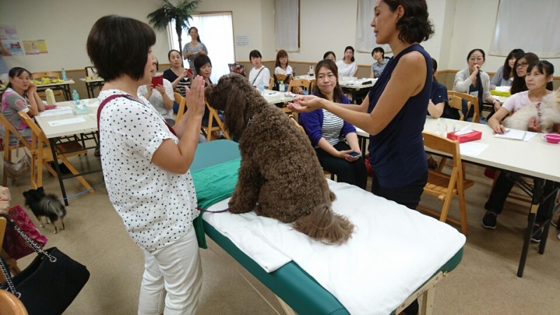PAWペットアロマセミナー「ペットアロマウェルビーイングのすすめ～植物療法を通して人とペットの健康を考える～」★わんちゃん同伴OK