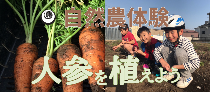 【親子】【自然農体験】人参植え＆試食　＆　【講座】子どもたちの幸せのために今できること