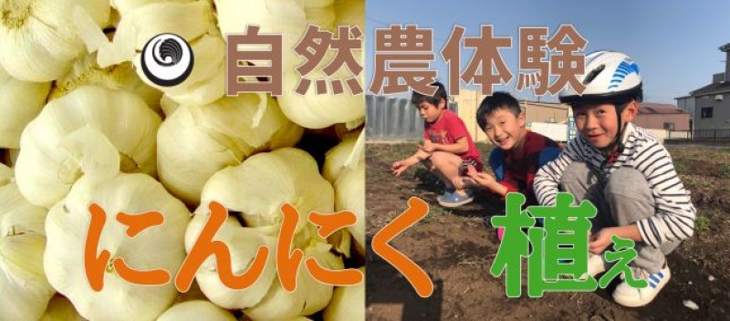 【親子】【自然農体験】にんにく植え　＆　【講座】子どもたちの幸せのために今できること