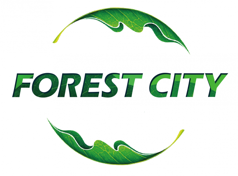【海外不動産】Forest Cityとは？11/10（土）東京渋谷