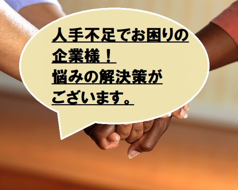 10年働く正社員採用のコツ!