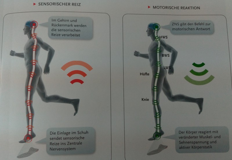 固有受容器インソールセミナー 基礎編