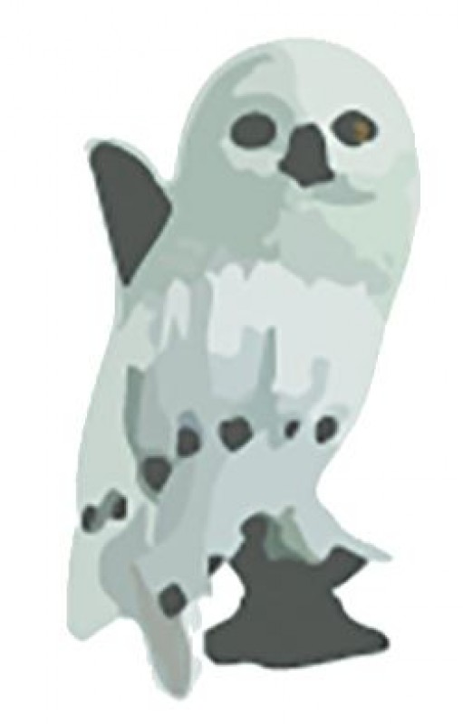 中国知的財産セミナー：特許・実用新案