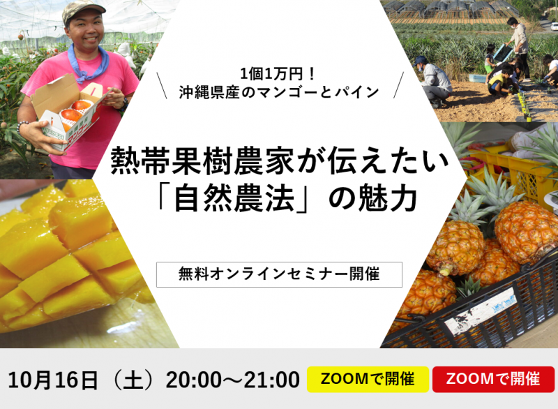 1個1万円!沖縄県産マンゴーとパインを栽培する農家が伝えたい「自然農法」の魅力