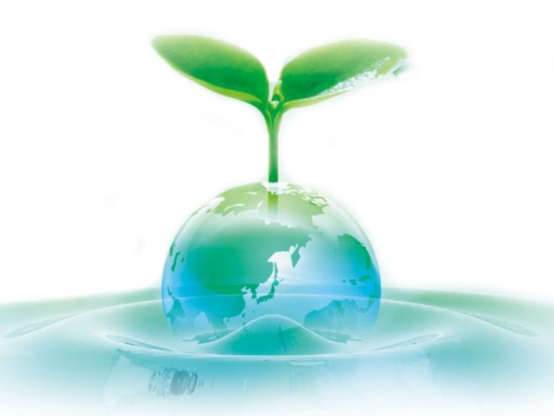 カーボンオフセットのしくみを学ぶSDGsセミナー