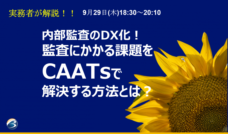 内部監査のDX化！監査にかかる課題をCAATsで解決する方法とは？